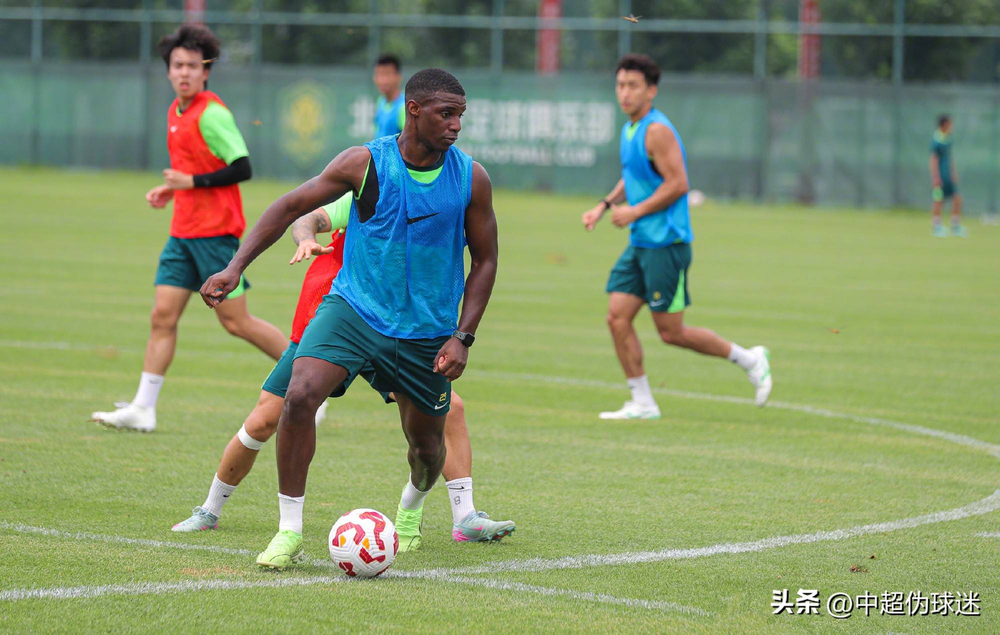 手的特点 手的特点