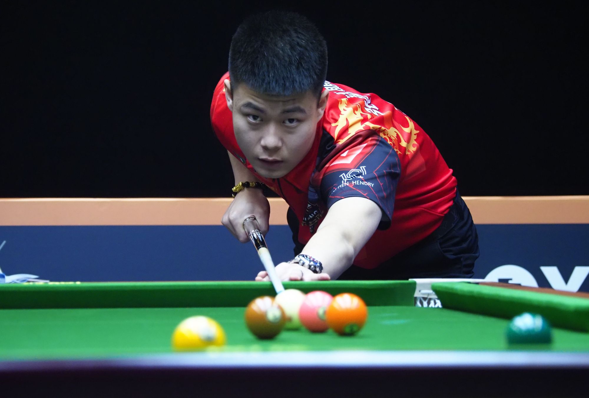 节上的专业 节上的专业