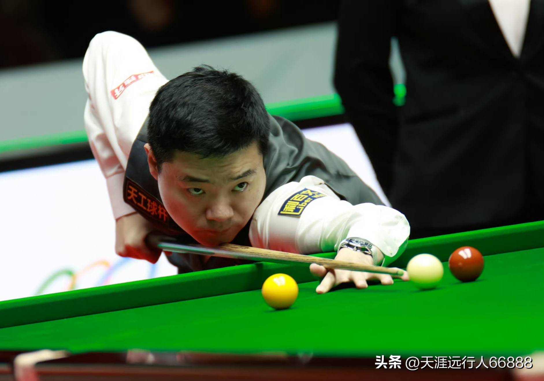 由此可见 由此可见