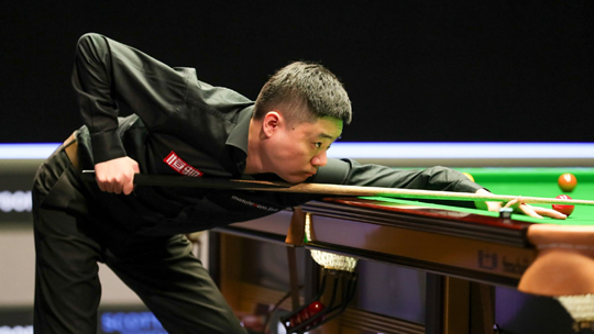 交流的平台 交流的平台