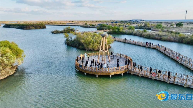 中国篮球协 中国篮球协